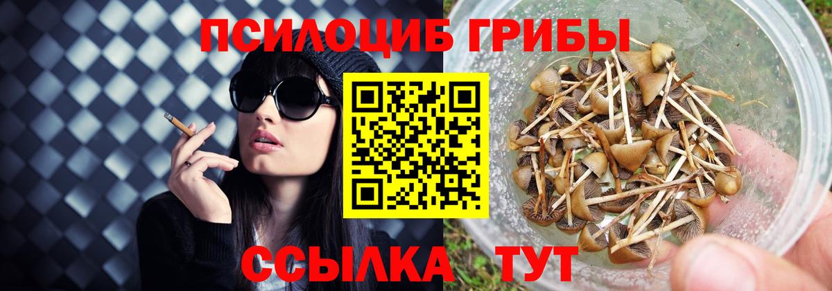 Серов  Псилоцибиновые грибы Magic Shrooms  Вход с VPN  Псилоцибиновые грибы GOLDEN TEACHER 