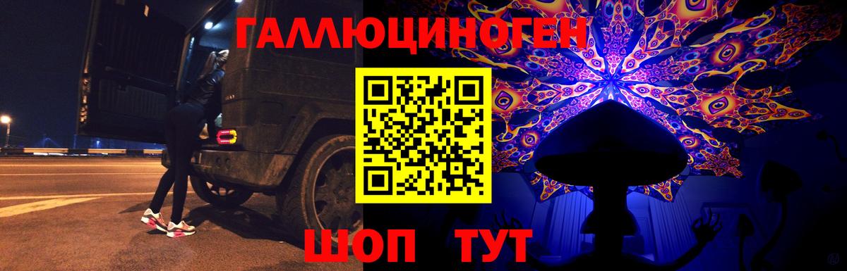 Псилоцибиновые грибы GOLDEN TEACHER Серов